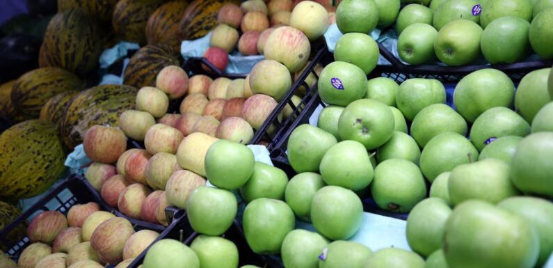 Elma ve limonun ihracatı kayda bağlandı