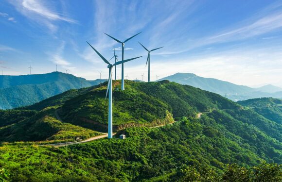 Türkiye’den rüzgar enerjisi atağı