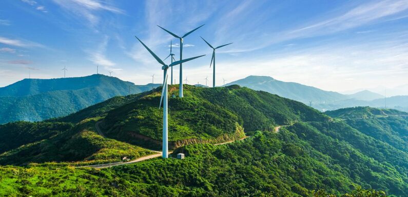 Türkiye’den rüzgar enerjisi atağı