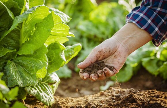 Tarımda verimlilik için toprak ve su kaynakları teknolojiyle korunacak