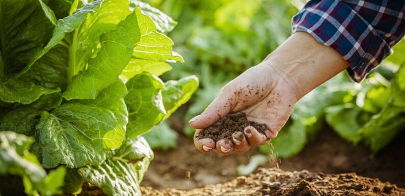 Tarımda verimlilik için toprak ve su kaynakları teknolojiyle korunacak
