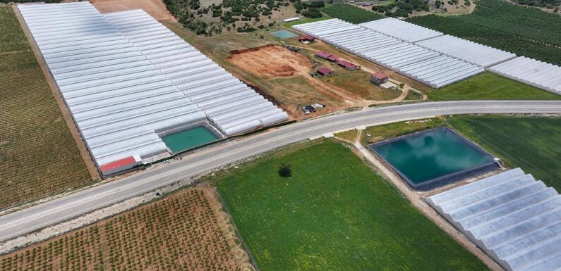 Tarım, ormancılık ve balıkçılık sektörünün satışları yaklaşık 9 katına çıktı