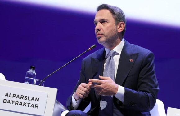 Türkiye, uygun maliyetli enerji arzı için yatırımlara devam edecek