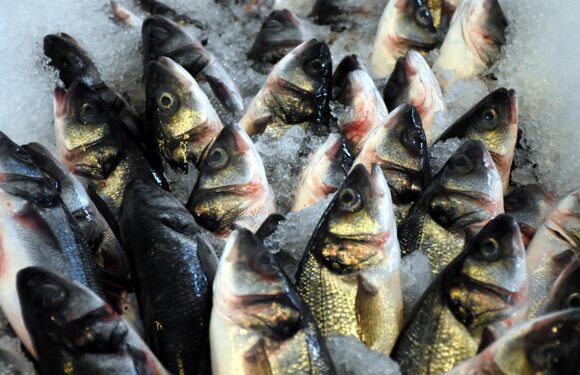 Muğla’dan 9 ayda 545 milyon dolarlık balık ihracatı yapıldı