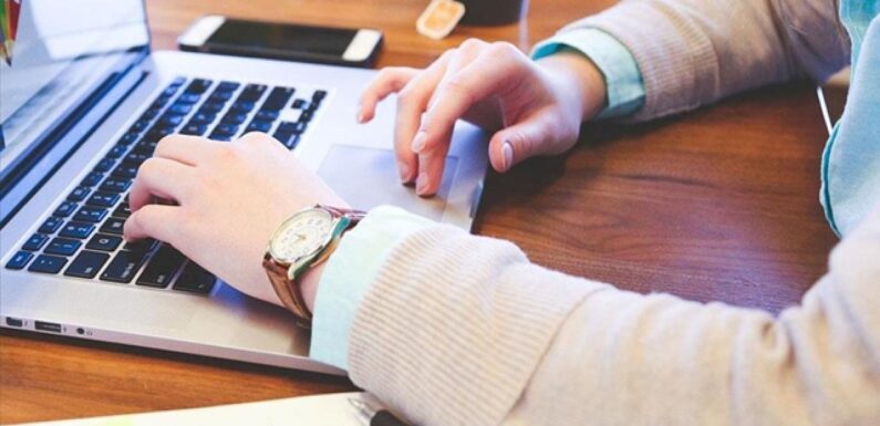TSE, 13 bilişim personeli alacak