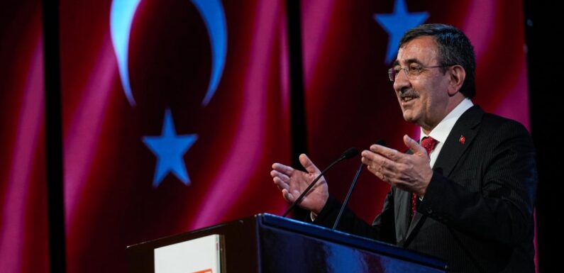 Cevdet Yılmaz: OVP, fiyat istikrarını sağlamayı amaçlamaktadır