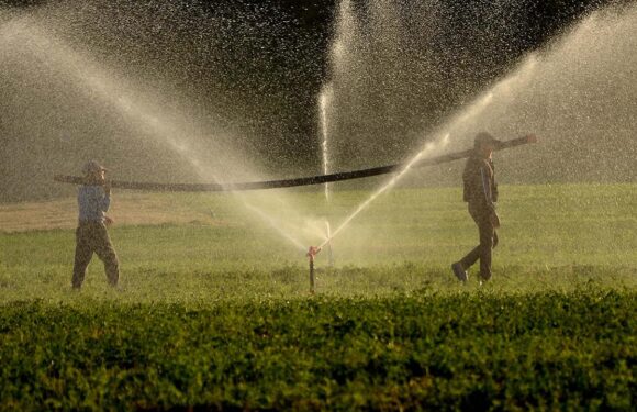 Türkiye’nin sulama altyapısına 757,1 milyon euroluk finansman