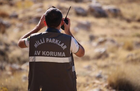DKMP Genel Müdürlüğü 13 personel istihdam edecek