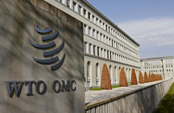 DTÖ, küresel ticarette bu yıl için büyüme öngörüsünü yükseltti