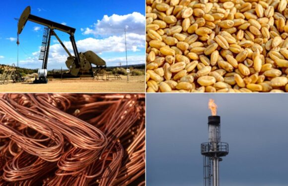 Emtia piyasasını değerli metaller sırtladı