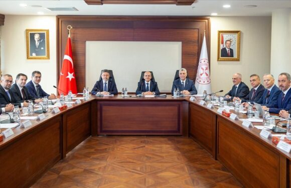 Finansal İstikrar Komitesi ve Gıda Komitesi toplandı