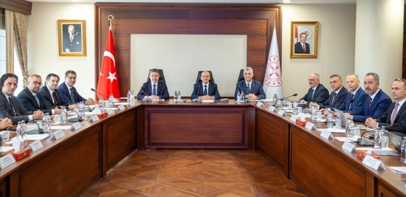 Finansal İstikrar Komitesi ve Gıda Komitesi toplandı