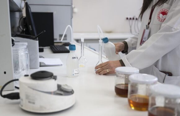 Gıdalarda perfloroalkil bileşenlerinin denetimi kriterler düzenlendi