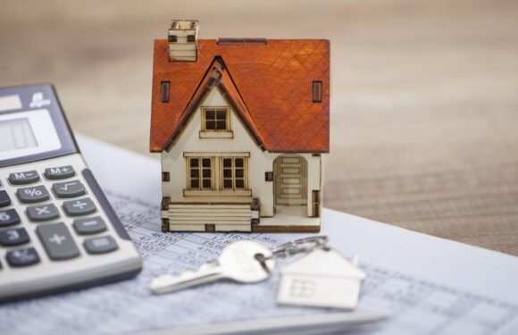 Konut fiyatlarındaki reel düşüş devam ediyor