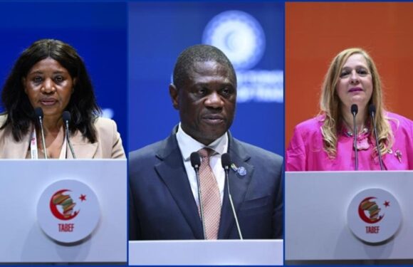 TürkiyeAfrika İş ve Ekonomi Forumu’nda TürkiyeAfrika ortaklığı değerlendirildi