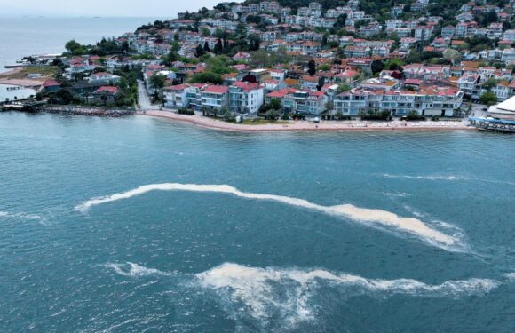 Müsilaj görülen illerdeki balıkçılara ilave ödeme yapılacak