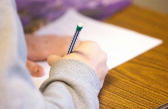 MEB, tarım işçisi ailelerin çocukları için telafi kursları hazırladı