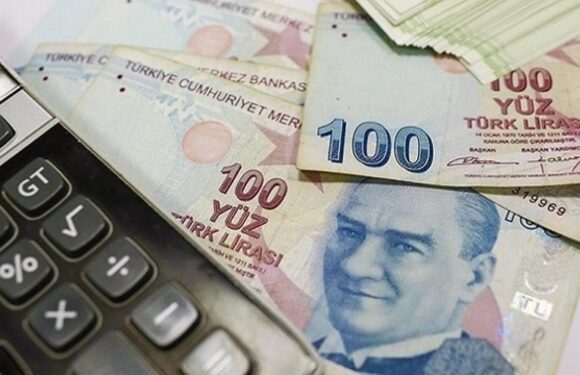 Düzenleyici ve denetleyici kurumlara 108,3 milyar liralık bütçe ayrıldı