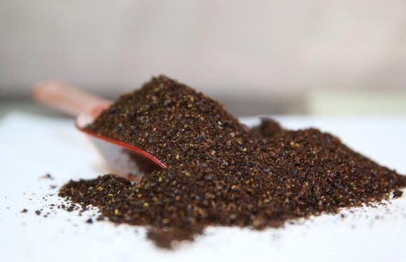 Pul biber ihracatı 9 ayda 10 milyon dolara ulaştı