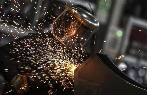 Kapasite kullanım oranı ekimde yüzde 74,2 oldu