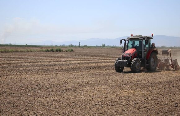 Çiftçilere 2025’te 2,5 milyar lira kuraklık tazminatı ödemesi yapıldı