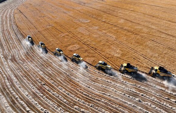 Kuraklık bu yıl birçok üründe etkisini hissettirdi