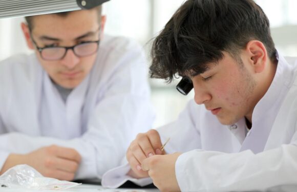 Özel programlı fen liselerinde yeni dönem