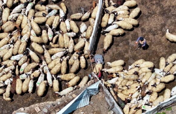 Tarımda dijital dönüşümle gençler çiftçiliğe teşvik edilecek