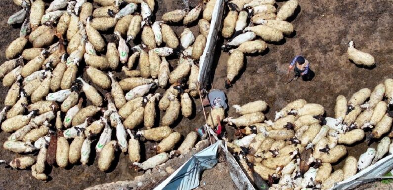 Tarımda dijital dönüşümle gençler çiftçiliğe teşvik edilecek