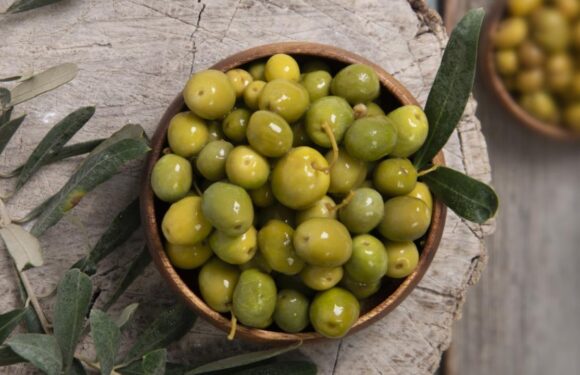 Sofralık zeytin ihracatında rekor