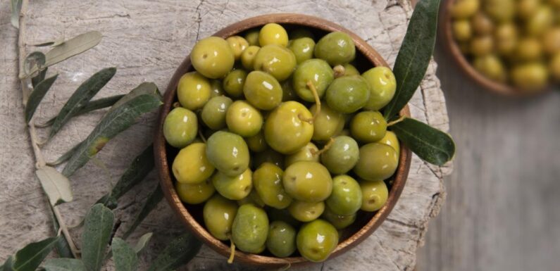 Sofralık zeytin ihracatında rekor