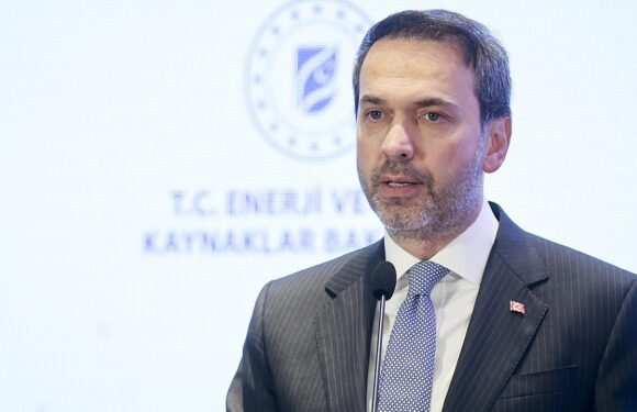 Bakan Bayraktar: Doğal gazı 81 ilimizin tamamına ulaştırdık
