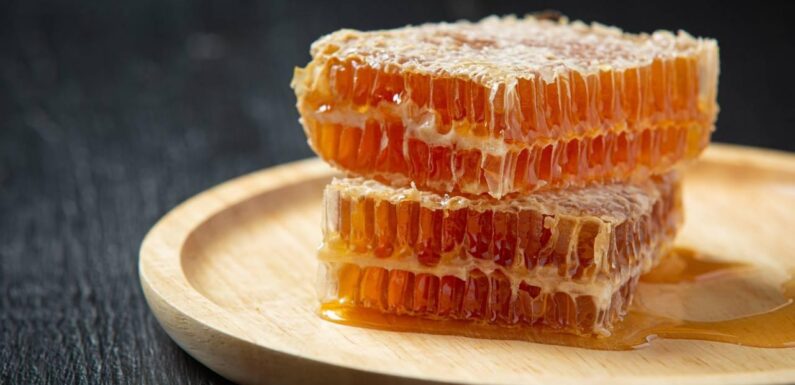 Doğu Karadeniz’in bal ihracatı 10 ayda 1,8 milyon doları aştı