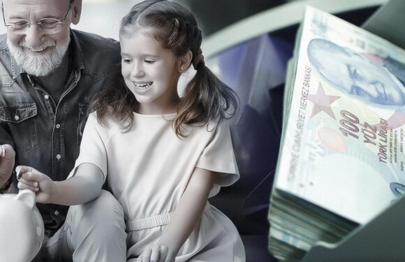 BES’te gönüllü katılımcı sayısı 10 milyonu aştı