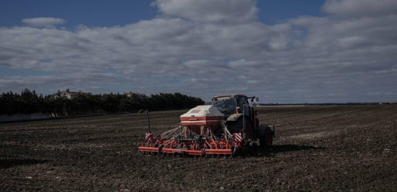 331 milyon 664 bin liralık tarımsal destek ödemesi bugün hesaplara yatırılacak