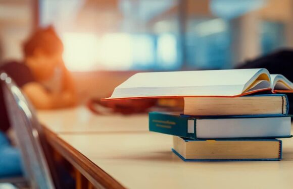 Yükseköğretimde 6,7 milyon öğrenci eğitim görüyor