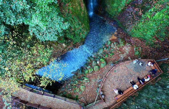 Ekoturizm alanları ekonomiye yıllık 2 milyar lira katkı sağlıyor