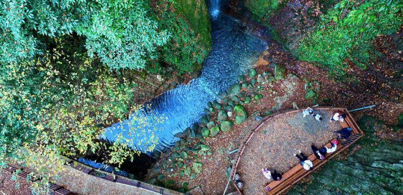 Ekoturizm alanları ekonomiye yıllık 2 milyar lira katkı sağlıyor