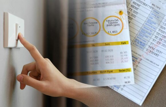 Elektrik desteğinde yeni dönem 1 Ocak’ta başlayacak