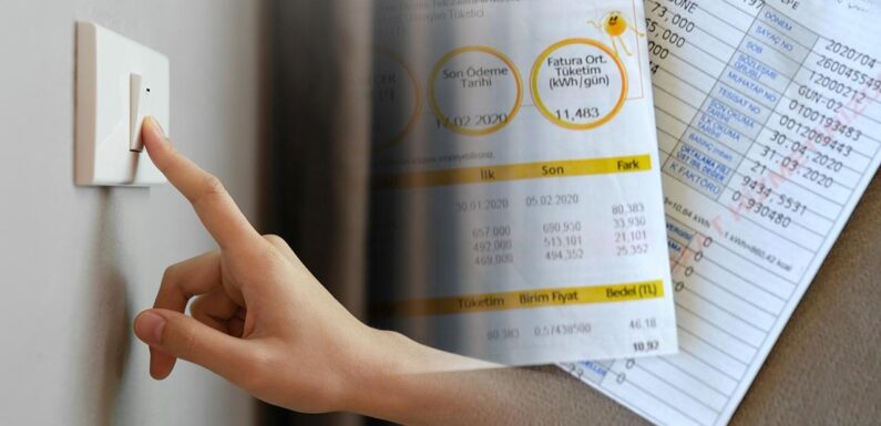 Elektrik desteğinde yeni dönem 1 Ocak’ta başlayacak