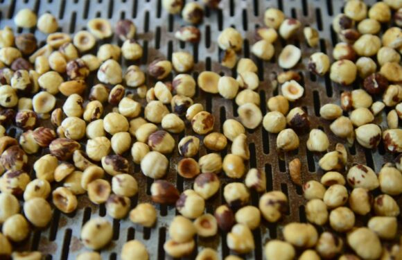 Düzce’den AB ülkelerine 15 bin 750 ton iç fındık ihraç edildi