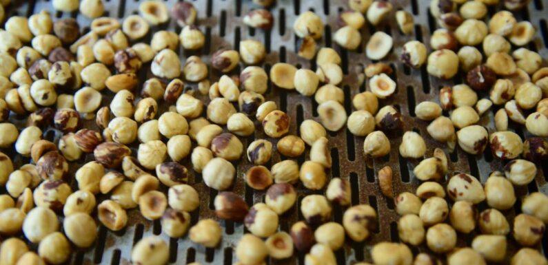 Düzce’den AB ülkelerine 15 bin 750 ton iç fındık ihraç edildi