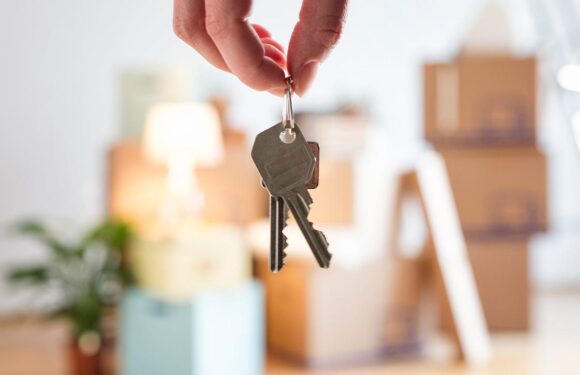 Gayrimenkulde 2,6 milyon satışla ocakekim dönemi rekoru kırıldı