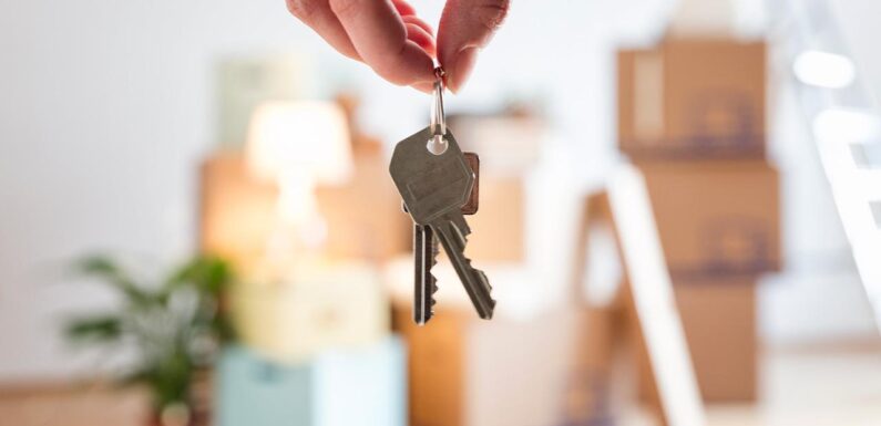 Gayrimenkulde 2,6 milyon satışla ocakekim dönemi rekoru kırıldı