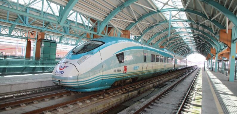 Yolcu Taşıma Platformu ile kesilen tren biletleriyle 3 bin ağaç kurtuldu