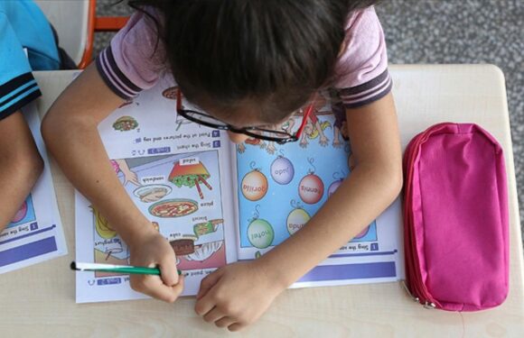 Bilinçli tüketici dersi, ilköğretim müfredatına eklenecek