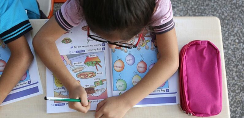 Bilinçli tüketici dersi, ilköğretim müfredatına eklenecek