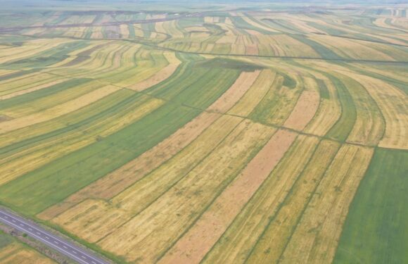 Türkiye’de sulanabilecek arazi 7,3 milyon hektarı geçecek