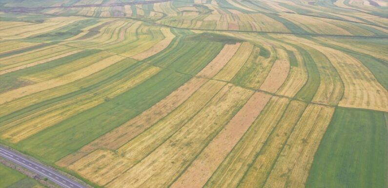 Türkiye’de sulanabilecek arazi 7,3 milyon hektarı geçecek