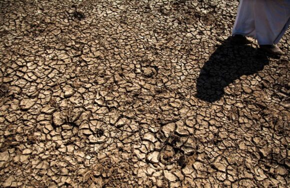 FAO’dan Türkiye’deki erozyon ve kuraklık tehlikesine 8,1 milyon dolarlık estek